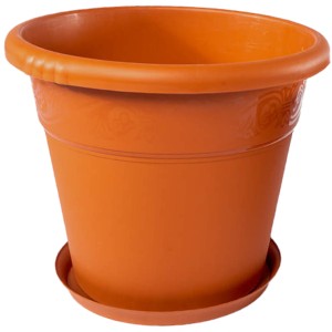 DONICZKA TULIPANY NR.9 39L